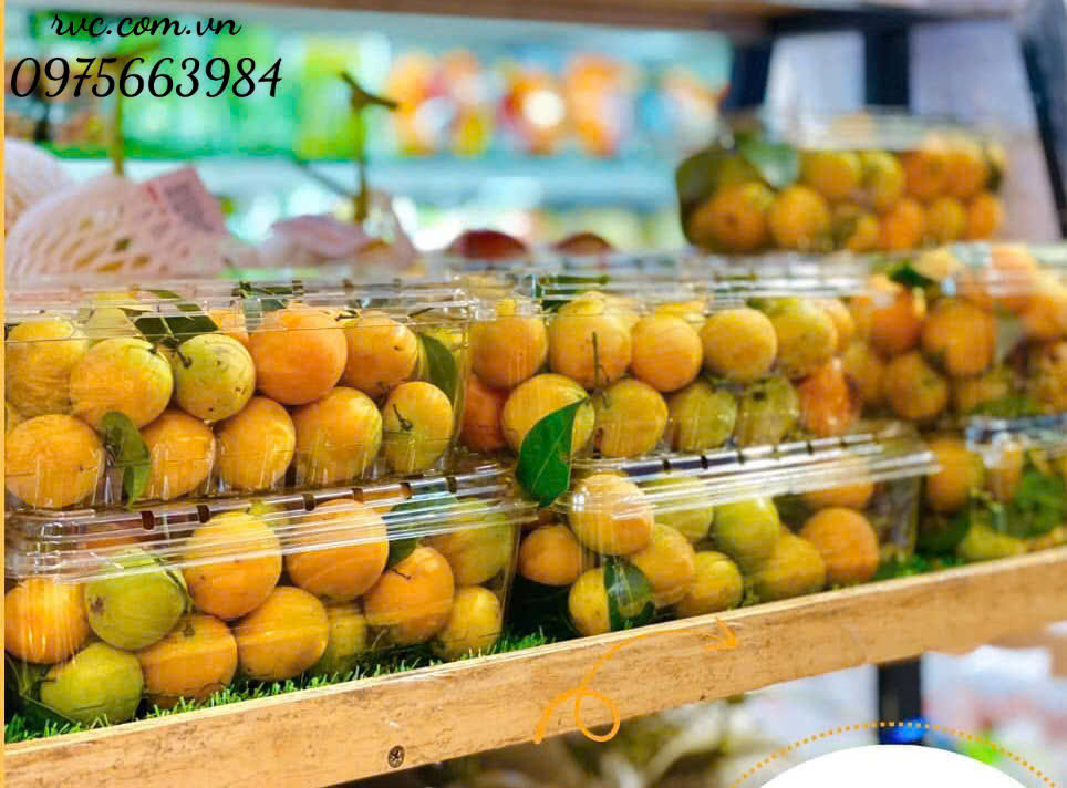 Hộp nhựa đựng trái cây 1kg phổ biến thị trường hiện nay